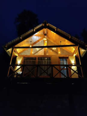 the forest cabin